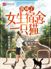 我成了女生宿舍里的猫